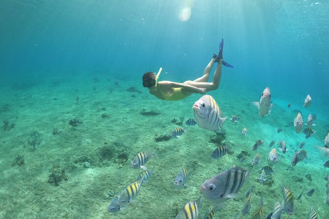 Clear Boat & Snorkel Cozumel Tour With Drinks - Customer Feedback and Experiences