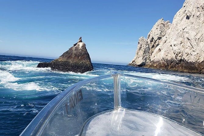 Clear Boat Tour to the Arch and Lovers Beach - Glimpse of Vibrant Marine Life