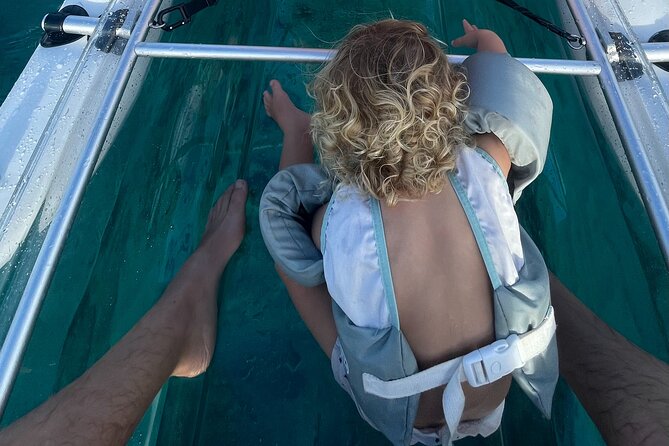 Clear Bottom Glassy Kayak Rental | Safe and Stable Kayaks - Customer Reviews and Highlights