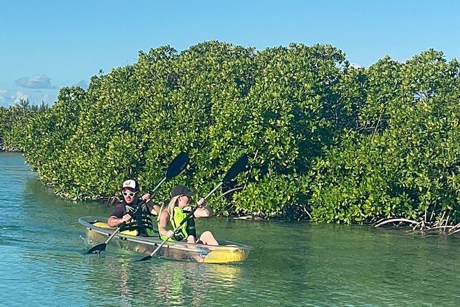 Clear Bottom Kayak Mangrove Eco Tour - About Your Stay