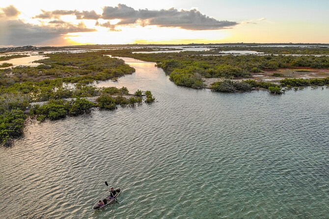 Clear Bottom Kayak Mangrove Eco Tour - Overview of the Tour