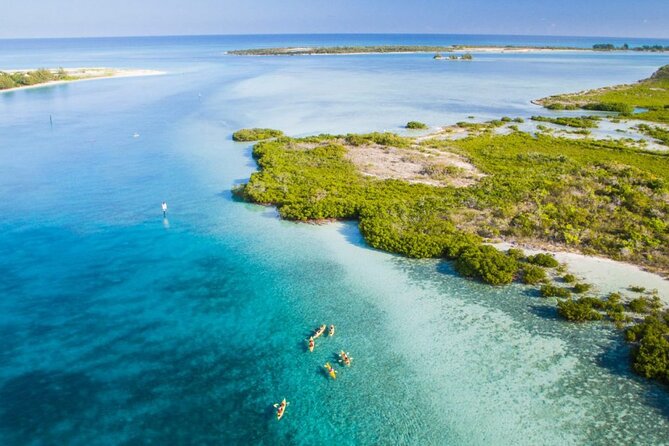 Clear Bottom Kayak Mangrove Eco Tour - Tour Scheduling and Availability