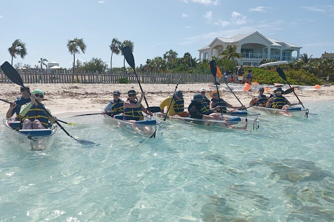 Clear Bottom Kayaks Mangrove Tour - Tour Experience