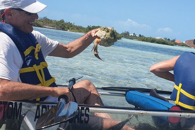 Clear Bottom Kayaks Mangrove Tour - Negative Experiences