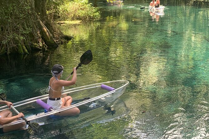Clear Canoeing and Wildlife Sightseeing at Silver Springs - Native Wildlife Spotting Opportunities