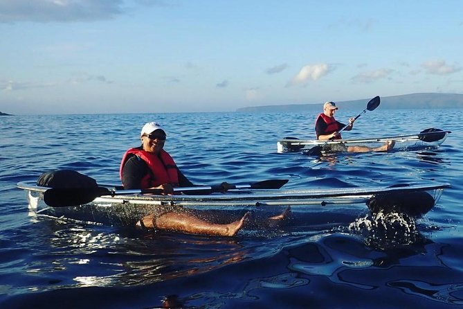 Clear Kayak and Snorkel Tour at Turtle Town, Makena - Guest Feedback