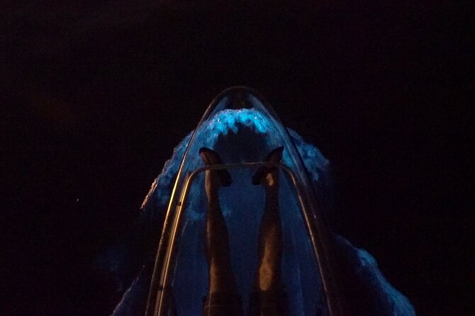 Clear Kayak Bioluminescence Tour - Highlights of the Experience