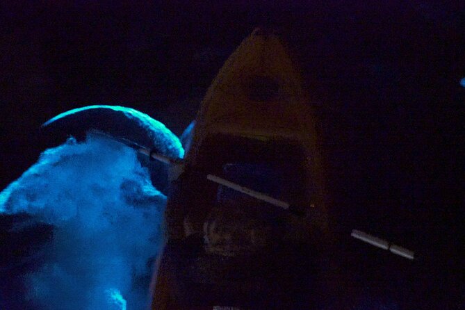 Clear Kayak Bioluminescence Tour - Confirmation and Accessibility