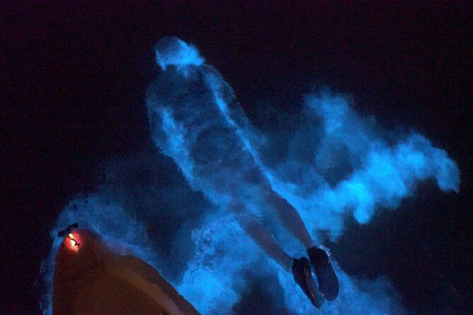 Clear Kayak Bioluminescence Tour - Cancellation Policy