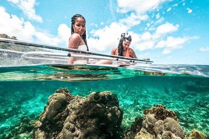 Clear Kayak Coral Reef Tour in Grenada - Who Will Love This Tour?