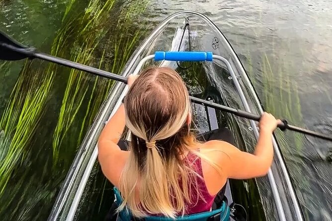 Clear Kayak Day Adventure Tour in San Marcos - Health and Safety Guidelines
