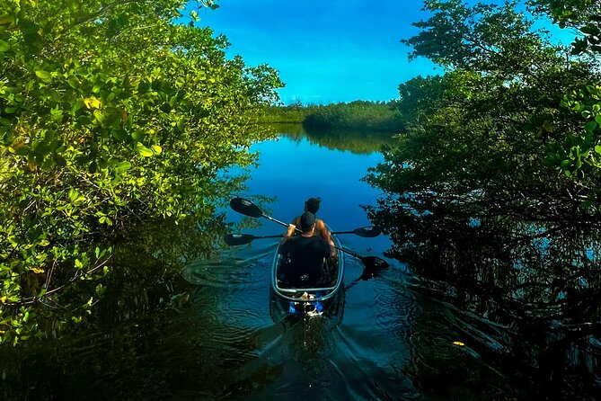 Clear Kayak Ecotour at Robinson Preserve in Bradenton, Florida - Accessibility and Restrictions