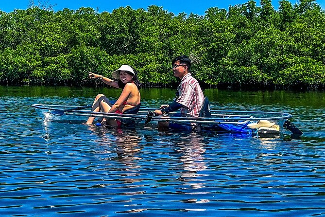 Clear Kayak Ecotour at Robinson Preserve in Bradenton, Florida - Highlights of the Ecotour Experience
