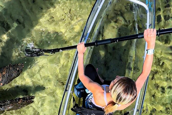 Clear Kayak Ecotour Destin Ft. Walton Beach - Whats Included