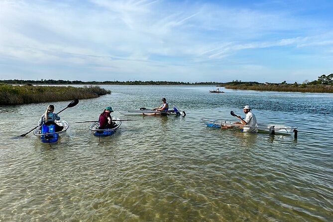Clear Kayak Ecotour Destin Ft. Walton Beach - Participant Requirements and Recommendations