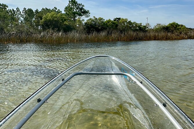 Clear Kayak Ecotour Destin Ft. Walton Beach - Tour Experience and Wildlife