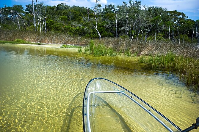 Clear Kayak Ecotour Destin Ft. Walton Beach - Guest Reviews and Experiences