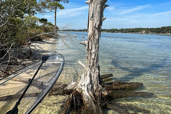 Clear Kayak Ecotour Destin Ft. Walton Beach - Whats Included