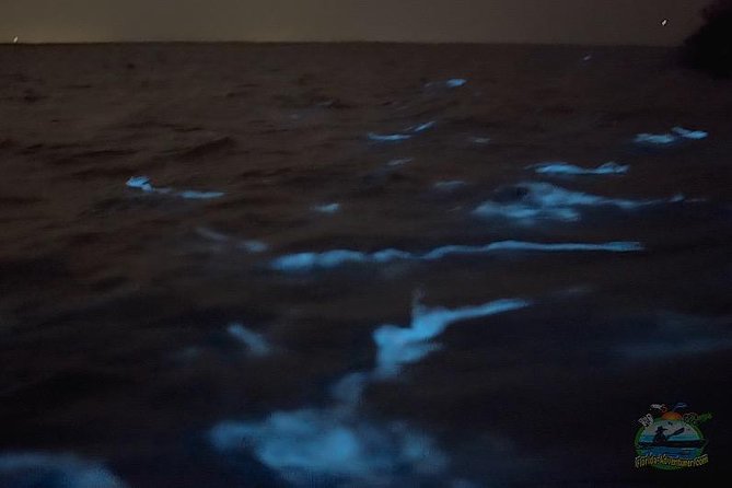 Clear Kayak Florida Bioluminescence Tour | Beacon 42 (Titusville) - Weight and Health Restrictions