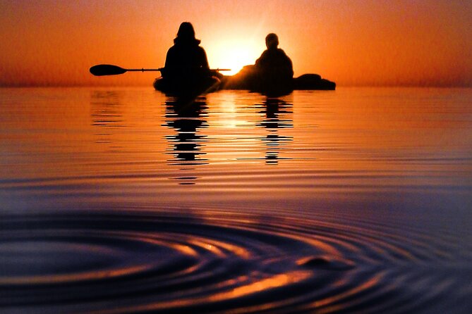 Clear Kayak Florida Bioluminescence Tour | Beacon 42 (Titusville) - Meeting and Pickup Location