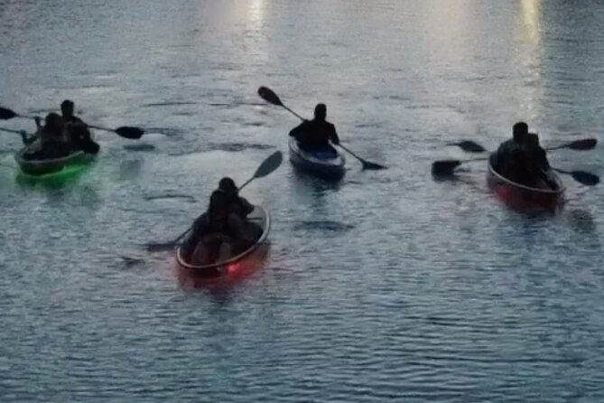 Clear Kayak Glow Tour - Accessibility Information
