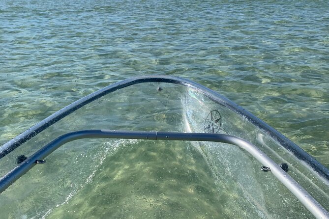 Clear Kayak Guided Tours in Naples - Additional Tour Information