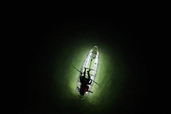Clear Kayak LED Night Glass Bottom Tour - Anna Maria Island - Overview