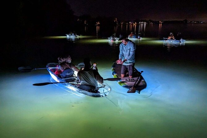 Clear Kayak LED Night Glass Bottom Tour - Anna Maria Island - Customer Experiences