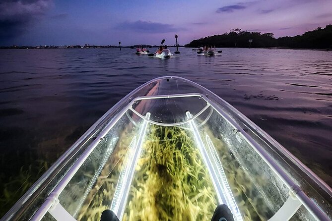 Clear Kayak LED Night Glass Bottom Tour - Anna Maria Island - Negative Feedback