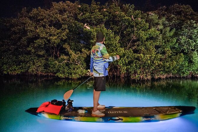 Clear Kayak LED Night Glass Bottom Tour - Sarasota - Logistics and Accessibility