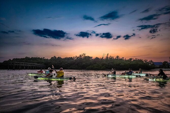 Clear Kayak LED Night Glass Bottom Tour - Sarasota - Tour Highlights and Features