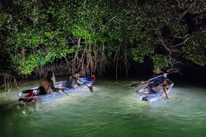Clear Kayak LED Night Glass Bottom Tour - Sarasota - Customer Reviews and Ratings