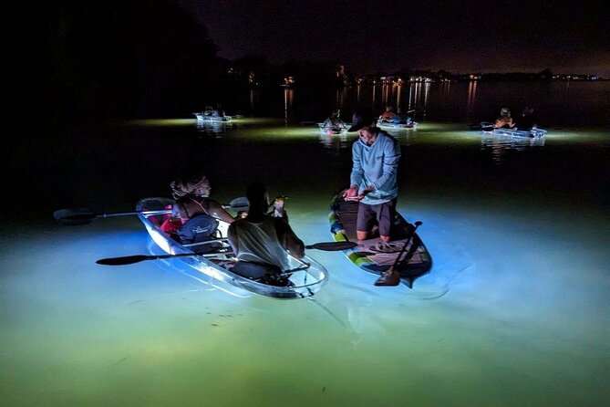 Clear Kayak LED Night Glass Bottom Tour - Siesta Key, FL - Traveler Feedback and Recommendations