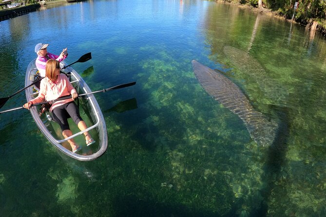 Clear Kayak Manatee Ecotour of Crystal River - Location and Meeting Point