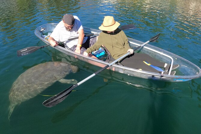 Clear Kayak Manatee Ecotour of Crystal River - Cancellation Policy