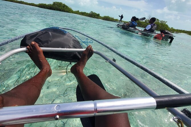 Clear Kayak Mangrove Eco Tour - Tour Inclusions