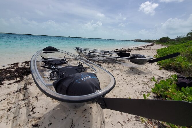 Clear Kayak Mangrove Eco Tour - Pickup and Transportation
