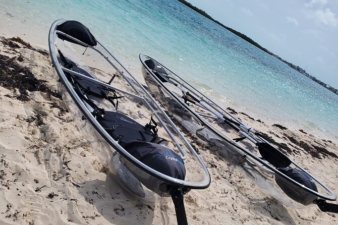 Clear Kayak Mangrove Eco Tour - Cancellation Policy