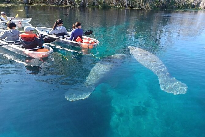 Clear Kayak or Paddleboard Manatee Adventure - Meeting and Pickup