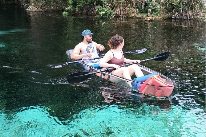 Clear Kayak or Paddleboard Manatee Adventure - Wildlife Encounters