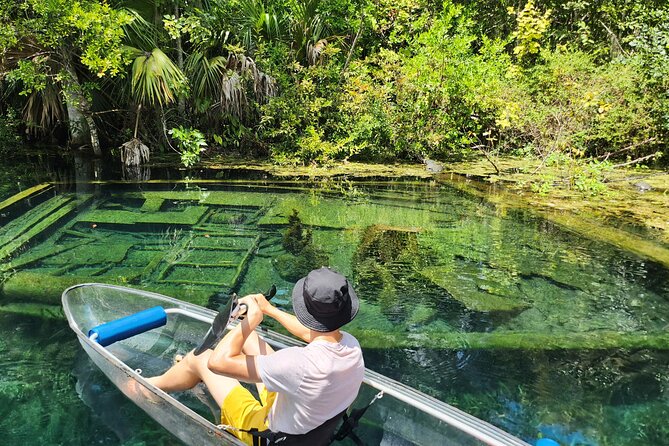 Clear Kayak or Paddleboard Manatee Adventure - Kayak and Paddleboard Options