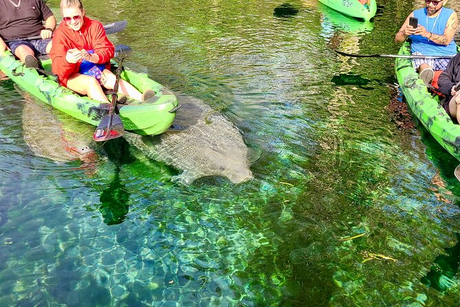 Clear Kayak or Paddleboard Manatee Adventure - Paddle Trail Exploration