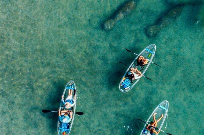 Clear Kayak Peanut Island Guided Tour Palm Beach Singer Island - Tour Provider and Pricing