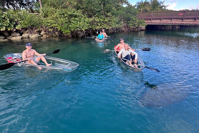 Clear Kayak Peanut Island Guided Tour Palm Beach Singer Island - Accessibility and Participation
