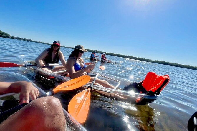 Clear Kayak Private Guided Day and Night Tours in Florida - Meeting Point and Accessibility