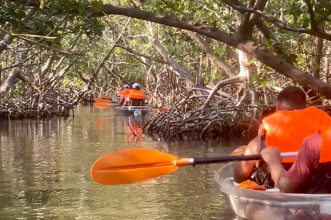 Clear Kayak Private Guided Day and Night Tours in Florida - Customer Feedback