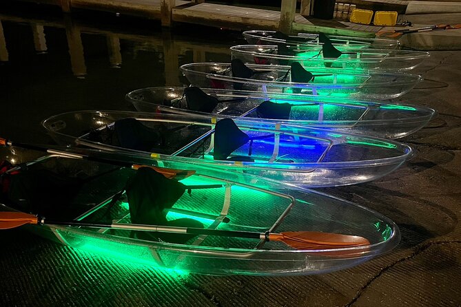Clear Kayak Private Guided Day and Night Tours in Florida - Highlight: Marine Life Sightings