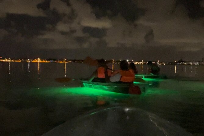 Clear Kayak Private Guided Day and Night Tours in Florida - Future Tour Considerations