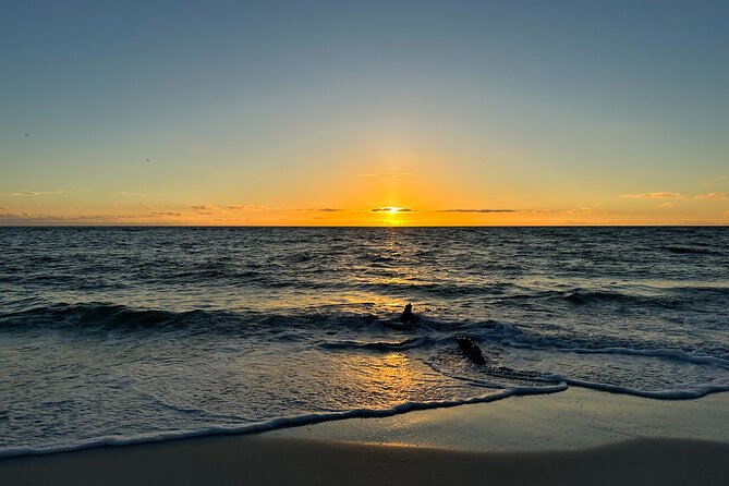 CLEAR Kayak Sunset & Light Tour - Bonita Springs / Ft Myers Beach - Tour Details