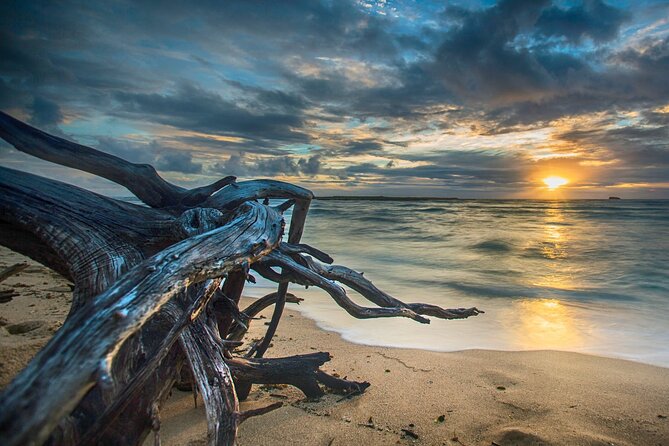 CLEAR Kayak Sunset & Light Tour - Bonita Springs / Ft Myers Beach - Complimentary Photos